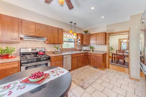 16 Elm Ave, Roselle, IL 60172 photo 10