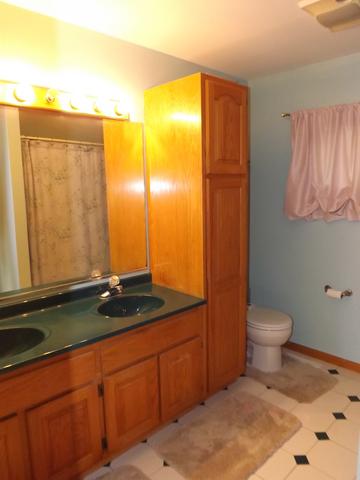 2595 Indian Grass Rd, Morris, IL 60450 photo 19