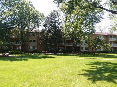 910 Beau Dr #214, Des Plaines, IL 60016 photo 19