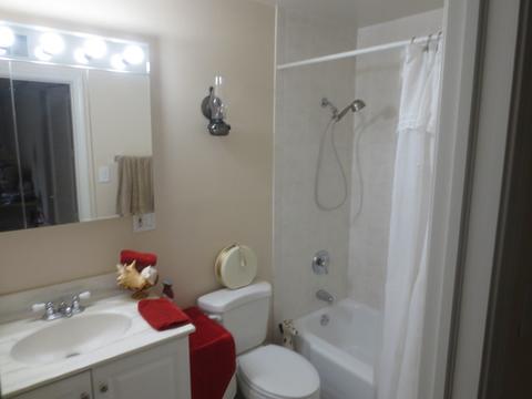 910 Beau Dr #214, Des Plaines, IL 60016 photo 11