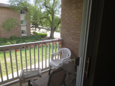 910 Beau Dr #214, Des Plaines, IL 60016 photo 4