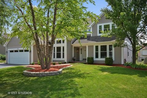 323 Wildberry Ln, Bartlett, IL 60103 photo 1