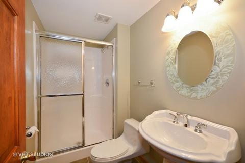 323 Wildberry Ln, Bartlett, IL 60103 photo 22