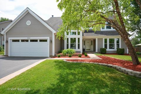 323 Wildberry Ln, Bartlett, IL 60103 photo 25