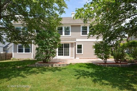 323 Wildberry Ln, Bartlett, IL 60103 photo 24