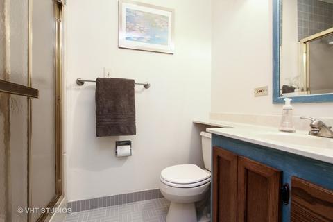 907 Mapleton Ave, Oak Park, IL 60302 photo 12