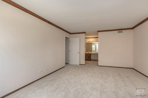 1809 Lisson Rd, Naperville, IL 60565 photo 13