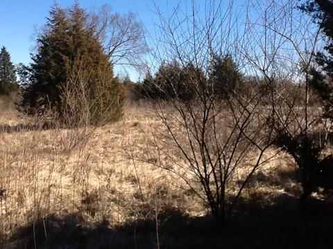 2664 E 28th Rd, Marseilles, IL 61341 photo 8