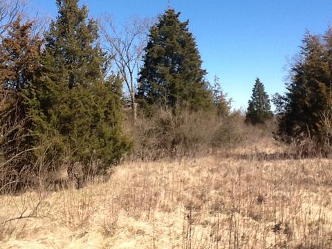 2664 E 28th Rd, Marseilles, IL 61341 photo 11