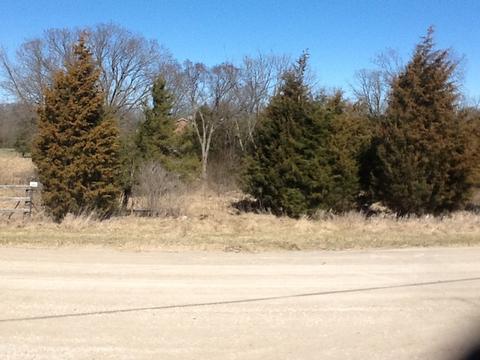 2664 E 28th Rd, Marseilles, IL 61341 photo 7