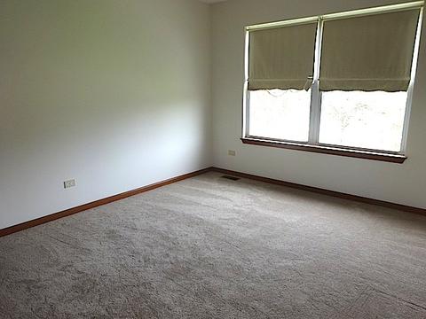 5411 Maple Glen Ct, Plainfield, IL 60586 photo 20