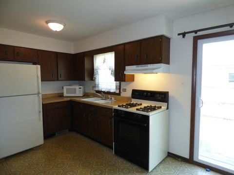 698 Bryn Mawr Ave, Bartlett, IL 60103 photo 6