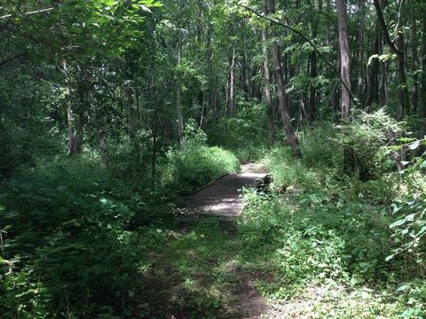 40 W622 Mcdonald Rd, Elgin, IL 60124 photo 22