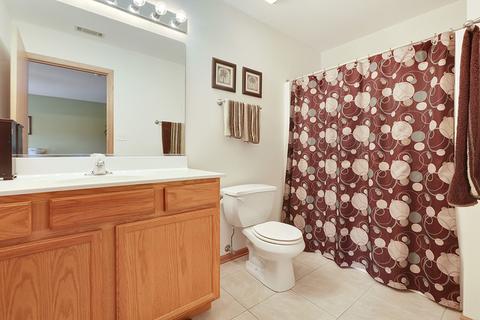 5607 W Sutton Pl #B, Monee, IL 60449 photo 10