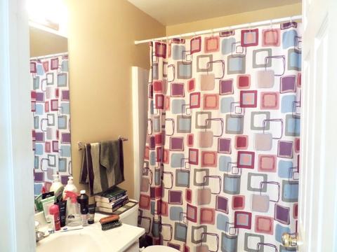 1539 Walnut Creek Dr, Elgin, IL 60123 photo 16