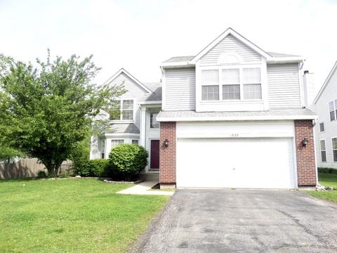 1539 Walnut Creek Dr, Elgin, IL 60123 photo 1