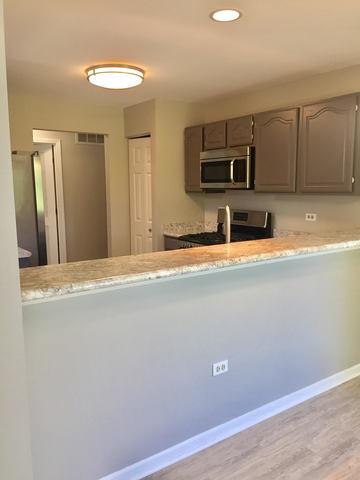 541 Lancaster Cir, Elgin, IL 60123 photo 5