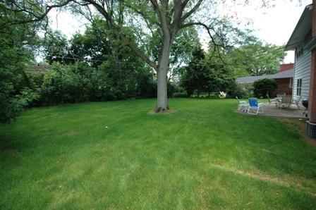 1451 Easy St, Elgin, IL 60123 photo 16