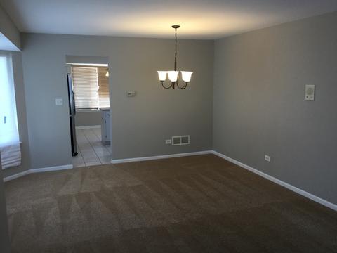 6301 Michael Ln, Matteson, IL 60443 photo 10
