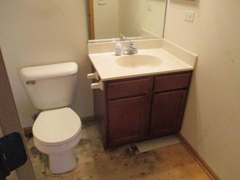 3403 Veronica St, Plano, IL 60545 photo 9