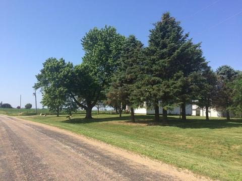 4053 E 050th Rd, Mendota, IL 61342 photo 11