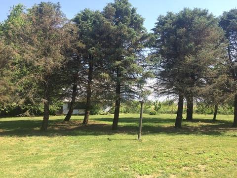 4053 E 050th Rd, Mendota, IL 61342 photo 8