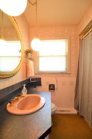 15249 Hamlin Ave, Midlothian, IL 60445 photo 13