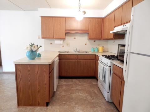 1436 E Thacker St #207, Des Plaines, IL 60016 photo 3