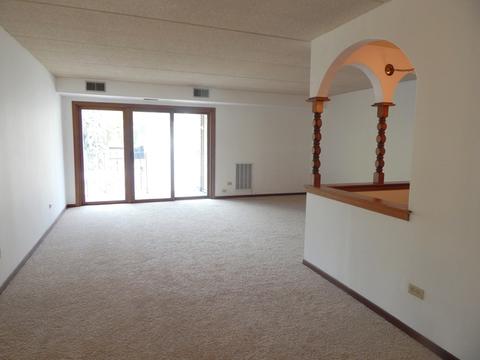 1436 E Thacker St #207, Des Plaines, IL 60016 photo 4