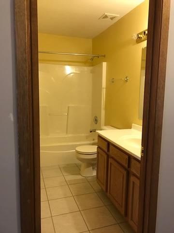 16403 Homan Ave, Markham, IL 60428 photo 10
