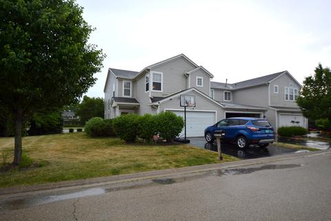 2401 Cactus Ct, Plainfield, IL 60586 photo 24