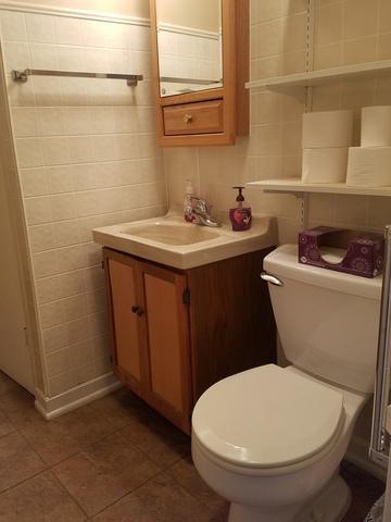 17017 Lorenz Ave, Lansing, IL 60438 photo 16