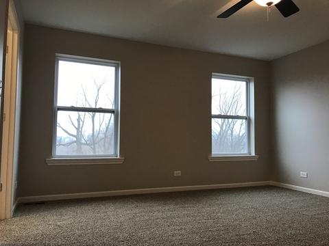25922 Derby Dr, Monee, IL 60449 photo 21