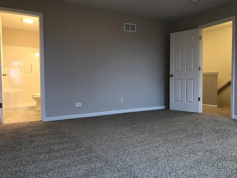 25922 Derby Dr, Monee, IL 60449 photo 23