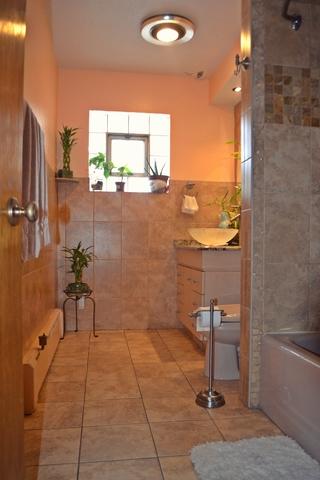6800 W Wabansia Ave, Chicago, IL 60707 photo 10