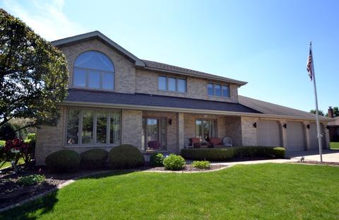 19550 Blyth Way, Mokena, IL 60448 photo 1