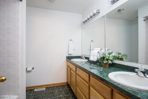 7249 S Ferdinand Ave, Bridgeview, IL 60455 photo 18