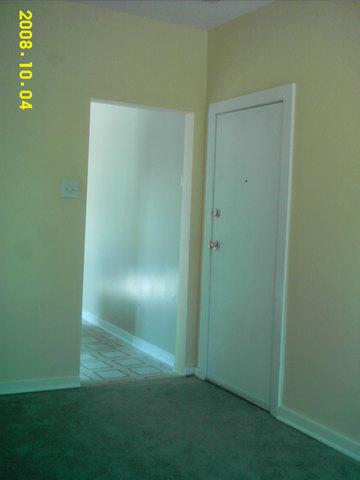 8818 S Marquette Ave, Chicago, IL 60617 photo 9