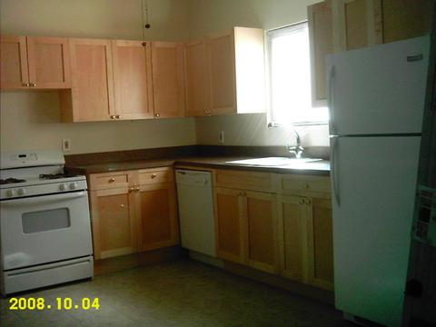 8818 S Marquette Ave, Chicago, IL 60617 photo 8