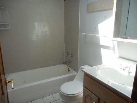 225 Carnation Ln, Hoffman Estates, IL 60169 photo 19