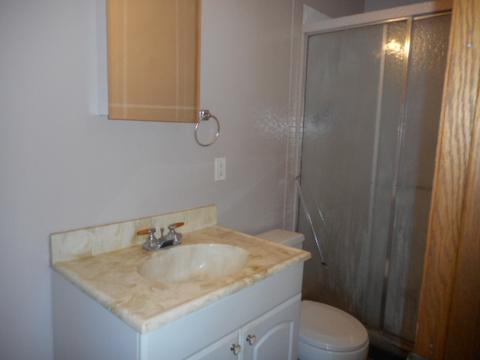 225 Carnation Ln, Hoffman Estates, IL 60169 photo 15