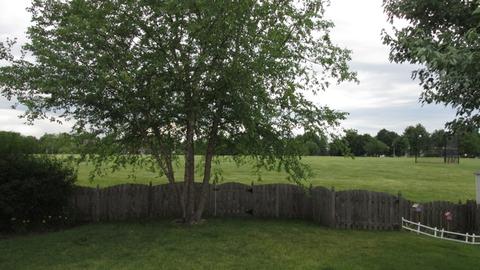 2736 Stuart Kaplan Dr, Aurora, IL 60503 photo 55