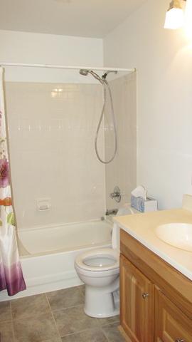 2736 Stuart Kaplan Dr, Aurora, IL 60503 photo 37