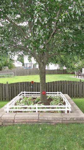2736 Stuart Kaplan Dr, Aurora, IL 60503 photo 54