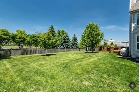 26408 Rustling Birch Way, Plainfield, IL 60585 photo 45