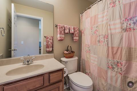 26408 Rustling Birch Way, Plainfield, IL 60585 photo 35