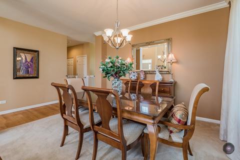 26408 Rustling Birch Way, Plainfield, IL 60585 photo 6