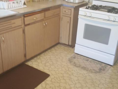 25 E 125th Pl, Chicago, IL 60628 photo 4