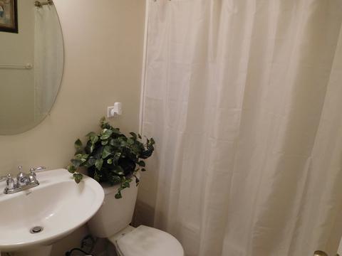 423 Maple Ave, Aurora, IL 60505 photo 14