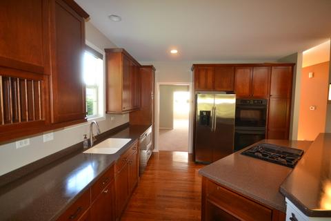 1413 Blume Dr, Elgin, IL 60124 photo 5